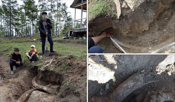 村民在自家院子种菜,自家院子种菜,挖出40万年前象牙