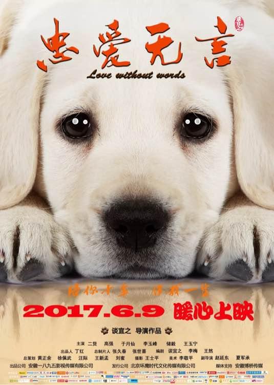 《忠爱无言》:又一部国产真正的高分“神片”问世