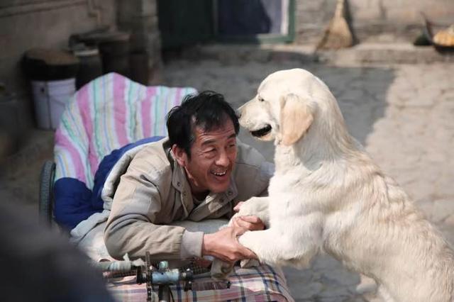 《忠爱无言》:又一部国产真正的高分“神片”问世