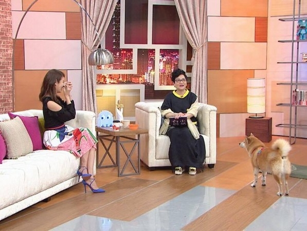 当制作人与真正制造人哪个比较难?林心如这样回答